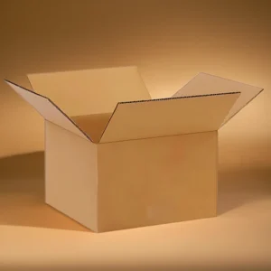 Corrugated Box manufacturing company in patna
